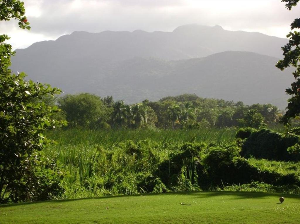 Rio Mar Village - Golf Course View Rio Grande Exterior photo