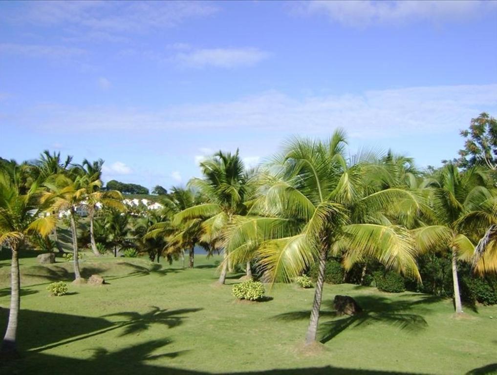 Rio Mar Village - Golf Course View Rio Grande Exterior photo